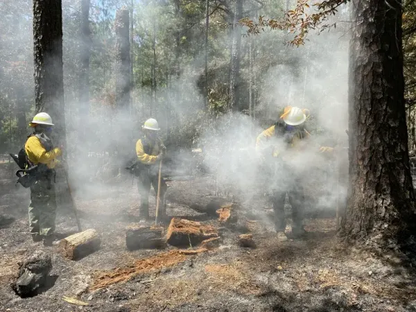 DHS Tests New Wildland FF Respirator